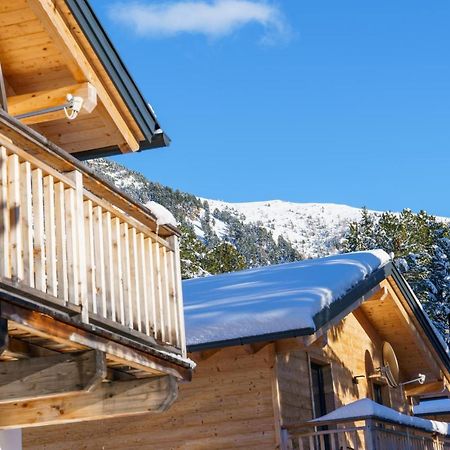 Luxalps- Turrach Alm Chalets Nr 1-4 Gruensee- Sauna- Skifahren- Wandern- Natur Туррахер-Хёэ Экстерьер фото