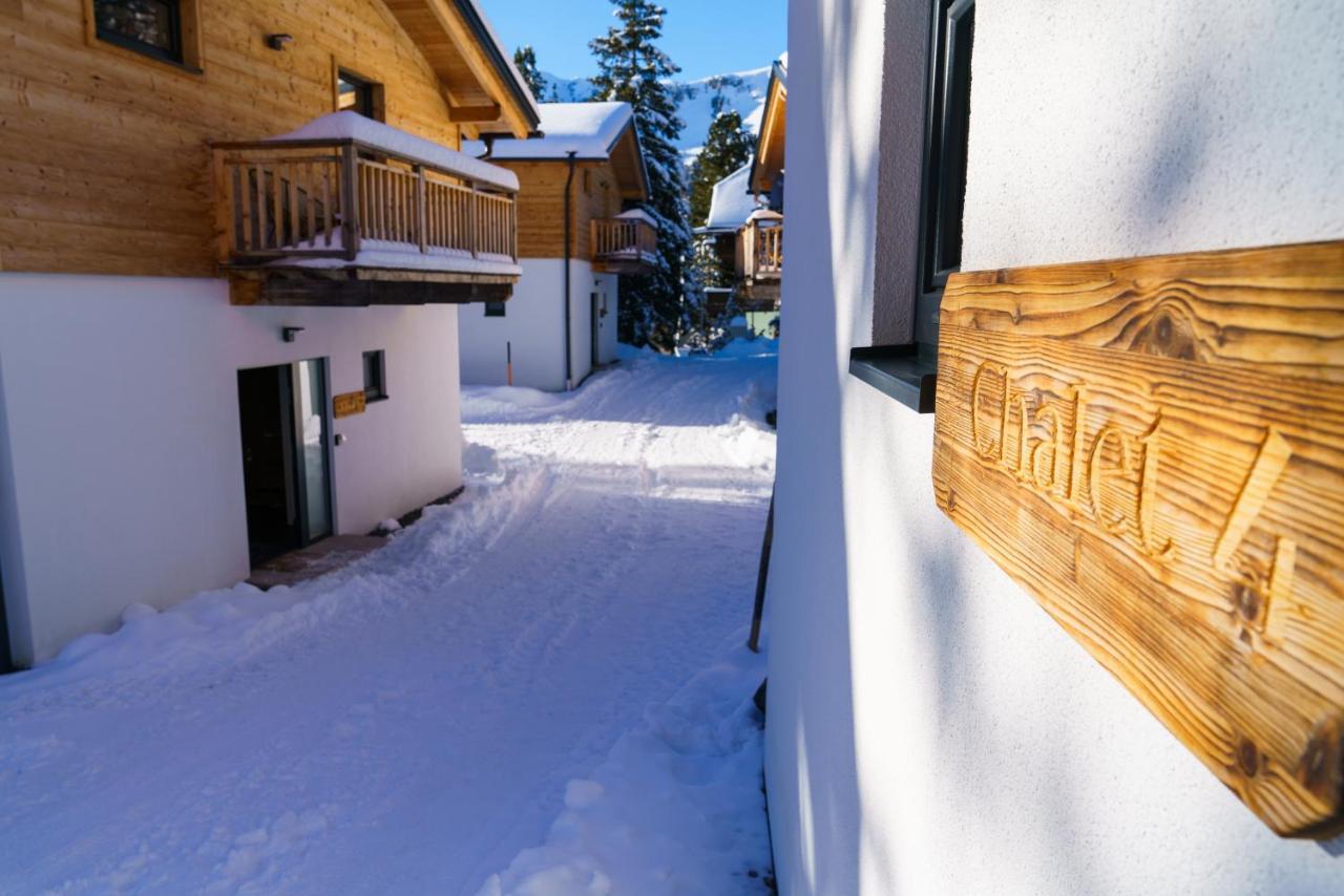 Luxalps- Turrach Alm Chalets Nr 1-4 Gruensee- Sauna- Skifahren- Wandern- Natur Туррахер-Хёэ Экстерьер фото