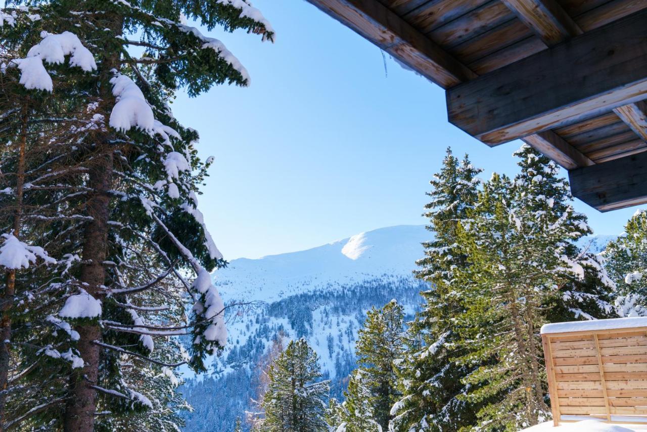 Luxalps- Turrach Alm Chalets Nr 1-4 Gruensee- Sauna- Skifahren- Wandern- Natur Туррахер-Хёэ Экстерьер фото