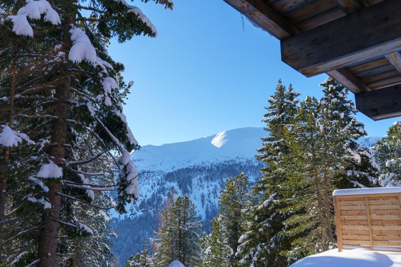 Luxalps- Turrach Alm Chalets Nr 1-4 Gruensee- Sauna- Skifahren- Wandern- Natur Туррахер-Хёэ Экстерьер фото