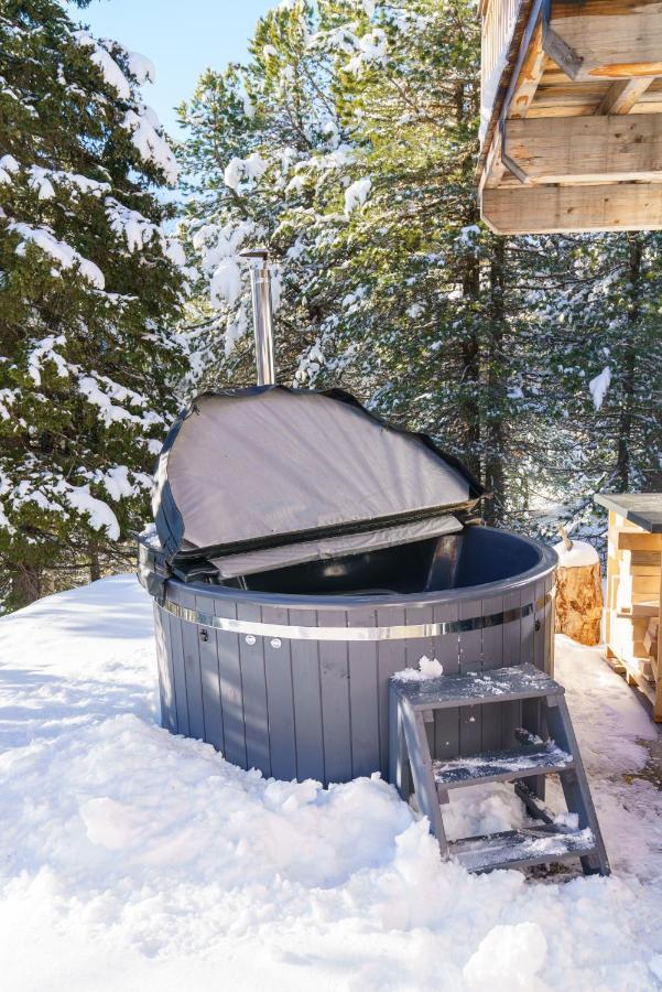 Luxalps- Turrach Alm Chalets Nr 1-4 Gruensee- Sauna- Skifahren- Wandern- Natur Туррахер-Хёэ Экстерьер фото
